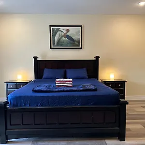 River Palace Tampa